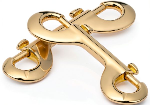 Snap Hooks Double Ended Bolt Snaps Trigger Snaps Clasp Buckle Trigger Clips Best Spring Pet Buckle Key Chain for Linking Dog Leash Collar Handmade Crafts Project, Plating and Oil Seal, 5PCS Gold-2
