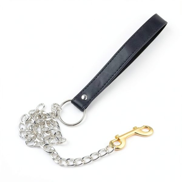 Snap Hooks Double Ended Bolt Snaps Trigger Snaps Clasp Buckle Trigger Clips Best Spring Pet Buckle Key Chain for Linking Dog Leash Collar Handmade Crafts Project, Plating and Oil Seal, 5PCS Gold-6