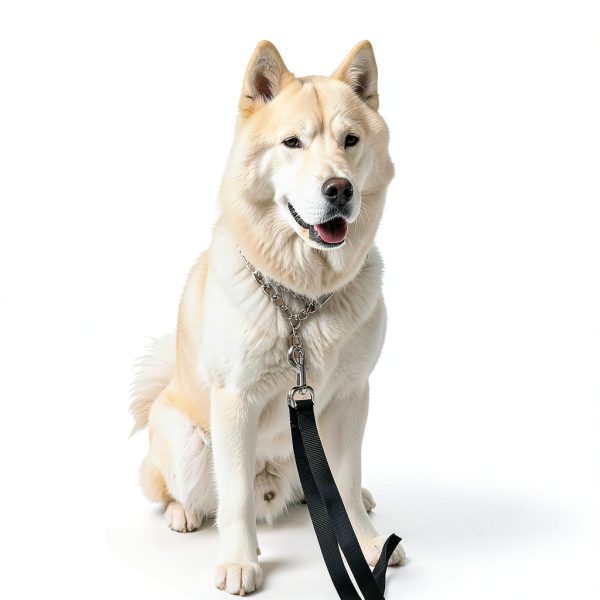 Swivel Eye Bolt Snap Hooks Heavy Duty Dog Leash Clips 4pcs by Buclefly-3